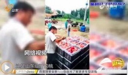 山东蒙阴媒体爆料案件视频,视频揭露惊人真相